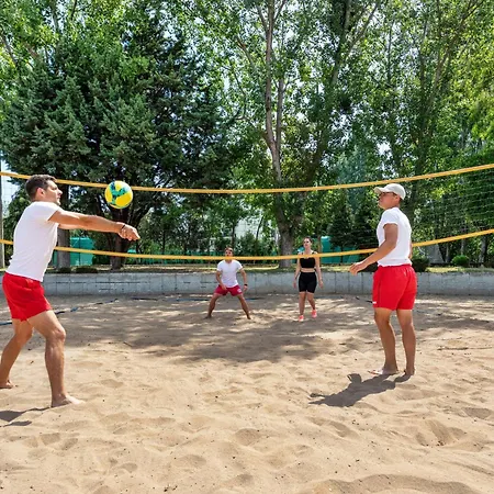 Sol Bay 네세부르